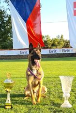 Boss Belrott Boss Belrott