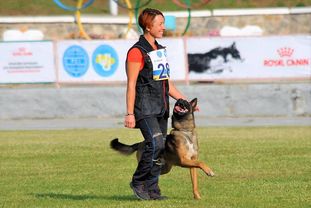 Storm Marinchuk K-9 Storm Marinchuk K-9