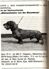 Mümmelmann von der Bisamburg Mümmelmann von der Bisamburg