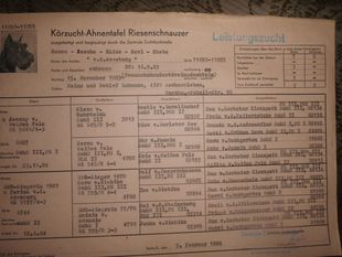 Sascha von der Asseburg Sascha von der Asseburg