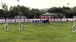 Ermis (Dounia) Ermis (Dounia)
