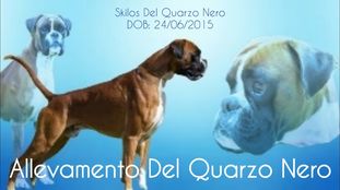 Skilos del Quarzo Nero Skilos del Quarzo Nero
