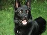 Marion Walz-Roeck Marion Walz-Roeck