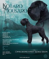 Kotaro Mousaro Kotaro Mousaro