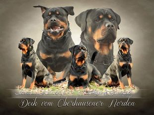 Deik vom Oberhausener Norden Deik vom Oberhausener Norden