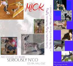Seriously N'co Seriously N'co