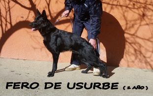 Fero de Usurbe Fero de Usurbe