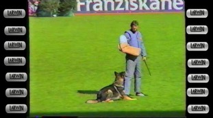 Sagus aus dem Wesen Zwinger Sagus aus dem Wesen Zwinger