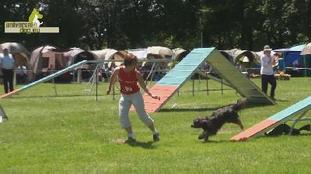 Electra vom Julbaldin Electra vom Julbaldin