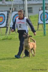 Artuš Red Devils Dog Artuš Red Devils Dog