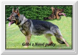 Gabi z Nove posty CS Gabi z Nove posty CS
