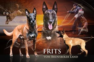 Frits vom Brunsbeker Land Frits vom Brunsbeker Land