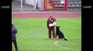 Rasco von der Sägmühle Rasco von der Sägmühle