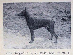 Alf vom Steiger Alf vom Steiger
