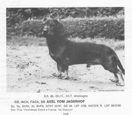 Axel vom Jägerhof Axel vom Jägerhof