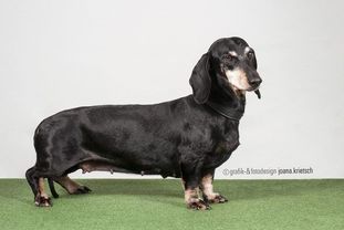 Jameika von Maaskamp Jameika von Maaskamp