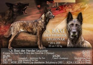 Baxi der Herder Legionär Baxi der Herder Legionär