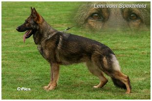 Leni vom Spektefeld Leni vom Spektefeld