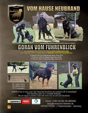 Goran vom Fuhrenblick Goran vom Fuhrenblick