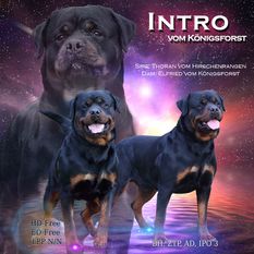 Intro vom Königsforst Intro vom Königsforst