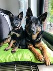Angelika und Sebastian Andres