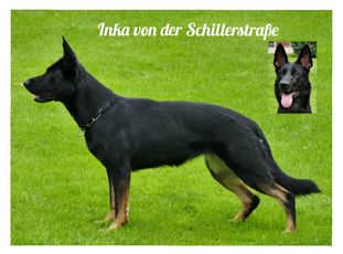 Inka von der Schillerstraße Inka von der Schillerstraße