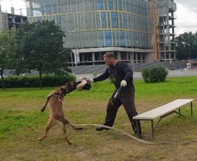 Cheget Igor Lobatsevich Cheget Igor Lobatsevich