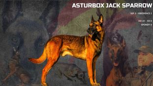 Asturbox Jack Sparrow Asturbox Jack Sparrow