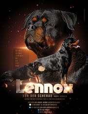 Lennox von der Scherau Lennox von der Scherau