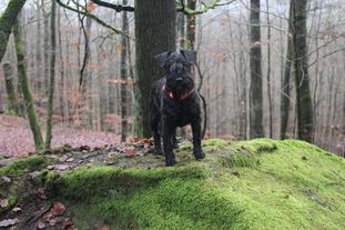 Winston-Vincente von der Jasmin Winston-Vincente von der Jasmin