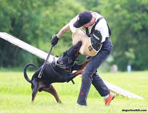 Expert European K9 training base Expert European K9 training base