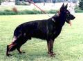 Castro von der Grundschnelligkeit