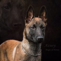 Azury Magic of Heroes Azury Magic of Heroes