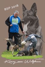 Kwaxy vom Wolfsheim Kwaxy vom Wolfsheim