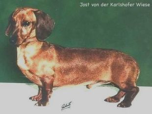 Jost von der Karlshofer Wiese Jost von der Karlshofer Wiese
