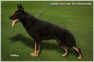 Jasko von der Schillerstraße Jasko von der Schillerstraße