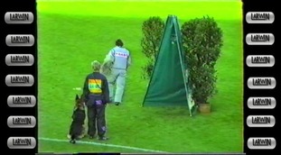 Alf vom Imsumer Deich Alf vom Imsumer Deich
