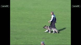 Nando vom Kassler Kreuz Nando vom Kassler Kreuz