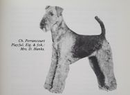 Perrancourt Playful