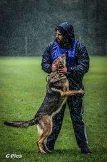Crazy Canis Invictus Crazy Canis Invictus