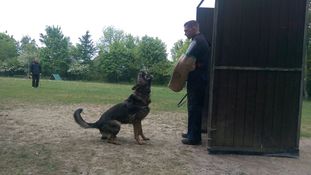 Raisers Drechsler Raisers Drechsler