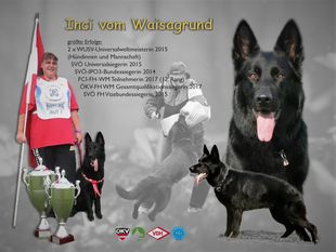 Inci vom Waisagrund Inci vom Waisagrund