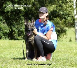 Mafi z Kuřimského háje Mafi z Kuřimského háje