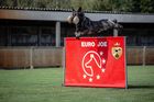 Qira van Arne's Hoeve