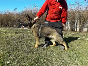 Oira živy šperk Oira živy šperk