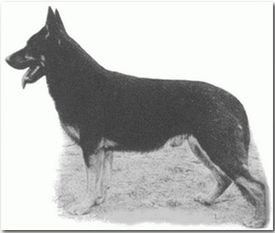 Bodo von der Brahmenau Bodo von der Brahmenau
