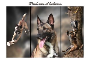Paul von Nacheron Paul von Nacheron