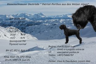 Patriot-Porthos aus den Welzer Alpen Patriot-Porthos aus den Welzer Alpen