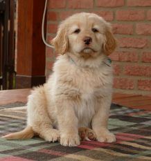 Porthos Aldeon Porthos Aldeon
