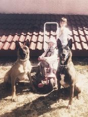 Canina Force Canina Canina Force Canina